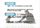 진화론vs 창조론 지적설계론 지질학적 진화론 생물학적 진화론 멘델의 유전법칙 화학 4페이지