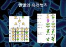 진화론vs 창조론 지적설계론 지질학적 진화론 생물학적 진화론 멘델의 유전법칙 화학 14페이지