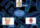 진화론vs 창조론 지적설계론 지질학적 진화론 생물학적 진화론 멘델의 유전법칙 화학 16페이지