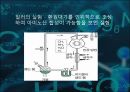 진화론vs 창조론 지적설계론 지질학적 진화론 생물학적 진화론 멘델의 유전법칙 화학 21페이지