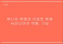 튀니지 혁명 이집트 혁명 뉴미디어의 역할 장기 독재와 부패 1페이지