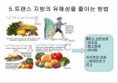 트랜스지방 지방 포화지방 불포화지방 트랜스지방의유해성 트랜스지방은왜만들어지는 16페이지