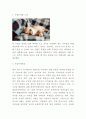 창업계획서- 애견호텔 (강아지 유치원) 창업 사업계획서 3페이지
