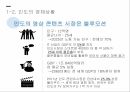 한류 영상콘텐츠 인도시장 진출전략 한류의 의미 한류의 중요성 한류 진출 성공사례 4페이지