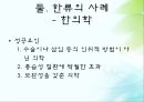 한류의 사례 게임산업 자동차 산업 전자제품 한의학 문화콘텐츠 한류의 현주소 13페이지