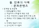 한류의 사례 게임산업 자동차 산업 전자제품 한의학 문화콘텐츠 한류의 현주소 17페이지