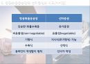 항공화물운송장 항공운송의 역사 항공화물 운송장 항공운송서류 9페이지