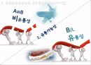 항공화물운송장 항공운송의 역사 항공화물 운송장 항공운송서류 10페이지