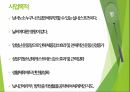 스포츠사업계획서(배드민턴) 3페이지