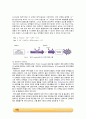 Lowry protein assay (단백질 정량 분석) 실험_예비레포트 3페이지