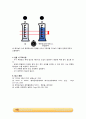 단일구의 침강속도 실험_예비레포트 [A+] 11페이지