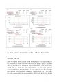 polyethylenimine (PEI)을 이용한 siRNA 응축과 나노 입자 형성 (2) 6페이지