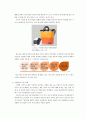 패션윤리 4페이지
