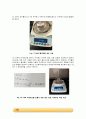 적정법을 이용한 아세트산 흡착량 계산_결과레포트 [A+] 2페이지