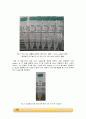 Lowry protein assay (단백질 정량 분석) 실험_결과레포트 3페이지