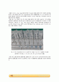 Lowry protein assay (단백질 정량 분석) 실험_결과레포트 4페이지