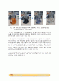 용존산소(DO) 측정 실험_결과레포트 [A+] 4페이지