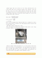 화학반응속도 실험_결과레포트 [A+] 2페이지