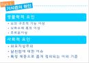 신경성 식욕부진,거식증이란,섭식장애,신경성 식욕부진증,신경성 폭식증,거식증의 원인,신경성 폭식증,인지행동 치료과정,청소년의 섭식장애 6페이지