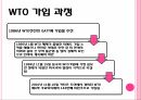 중국의 WTO,WTO란,중국의 WTO가입,중국 전망,세계 무역 질서,WTO 가입 중국경제,WTO 가입 과정,WTO 가입 의의,중국 경제의 변화 10페이지