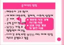 중국의 WTO,WTO란,중국의 WTO가입,중국 전망,세계 무역 질서,WTO 가입 중국경제,WTO 가입 과정,WTO 가입 의의,중국 경제의 변화 20페이지