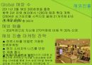 The Face Shop의연혁,The Face Shop SWOT분석,The Face Shop STP분석,The Face Shop 4P분석,The Face Shop해외진출현황,The Face Shop중국진출현황 16페이지