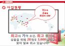 다이소소개,다이소연혁,다이소비전,다이소사업현황,다이소성공요인,다이소SWOT분석 12페이지