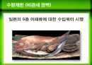 무역장벽,Barriers to trade,무역장벽의 종류,관세인하의 긍정적 영향,비관세장벽의 종류와 장단점 5페이지