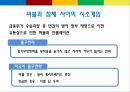 빚의경제학,빚의탄생과축적,빚공장으로전락한금융,시작되는빚과의전쟁,대출채권,파생상품,사모투자펀드,국부펀드,모럴 해저드적 산업 27페이지