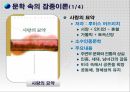 잡종이론이란,잡종이론의선구자들,문학속의잡종이론,현대사회에의잡종이론 15페이지