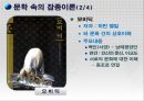 잡종이론이란,잡종이론의선구자들,문학속의잡종이론,현대사회에의잡종이론 16페이지