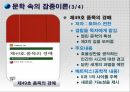 잡종이론이란,잡종이론의선구자들,문학속의잡종이론,현대사회에의잡종이론 17페이지