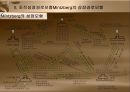 조직성장,조직수명주기모형,조직성장경로모형,조직수명주기 모형의 한계,Mintzberg의 성장모형 26페이지