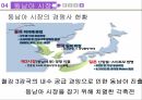 포스코의동남아시장진출및전략제안,포스코선정배경,철강산업현황,동남아시장분석 19페이지