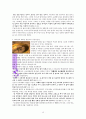 하나님의 계획에 대한 성경적 고찰(잠16:9를 중심으로) 15페이지