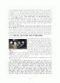 하나님의 계획에 대한 성경적 고찰(잠16:9를 중심으로) 19페이지
