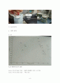 6,10 나일론의 합성 8페이지