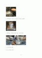 [A+ 레포트] PVA(폴리비닐알콜)의 합성 5페이지