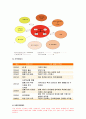 가족건강간호학 기말 2020-아동학대가족, 미혼부모가족을 도울 수 있는 프로그램,가족건강간호학 듀발의 가족생활주기중 양육기가족 ICNP분류에 의해 가족진단 가족건강간호학 가계도,외부체계도,가족연대기,사회지지체계도,가족아프가평가 10페이지