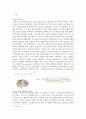 SDS PAGE & Commassie blue staining 1페이지