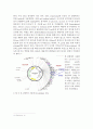 Gene Cloning 실험보고서 7페이지