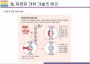 유전자가위 기술 원리, 특징, 활용 및 향후전망 [유전자가위,유전자,유전자 치료,제한효소,징크핑거,탈렌,크리스퍼] 25페이지