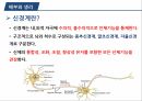 A+++ 건강사정 및 실습 신경계 1.해부와 생리 2.건강력 조사 3.신체검진 4.일반적 건강문제로 사진 자세히 첨부하여 꼼꼼히 작성 4페이지