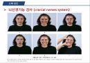 A+++ 건강사정 및 실습 신경계 1.해부와 생리 2.건강력 조사 3.신체검진 4.일반적 건강문제로 사진 자세히 첨부하여 꼼꼼히 작성 33페이지