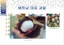 베트남 식문화 발표 ppt자료 27페이지