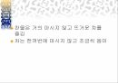 베트남 식문화 발표 ppt자료 40페이지
