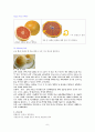 서양의 아침식사 이론적배경 및 실습과정 6페이지