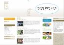 온라인업체 시장조사PPT 23페이지