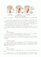 Osteomyelitis 6페이지