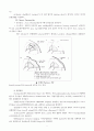  Osteomyelitis 7페이지